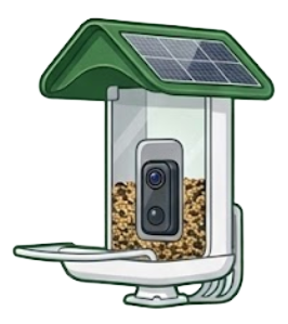 Smart Feeders & Cameras